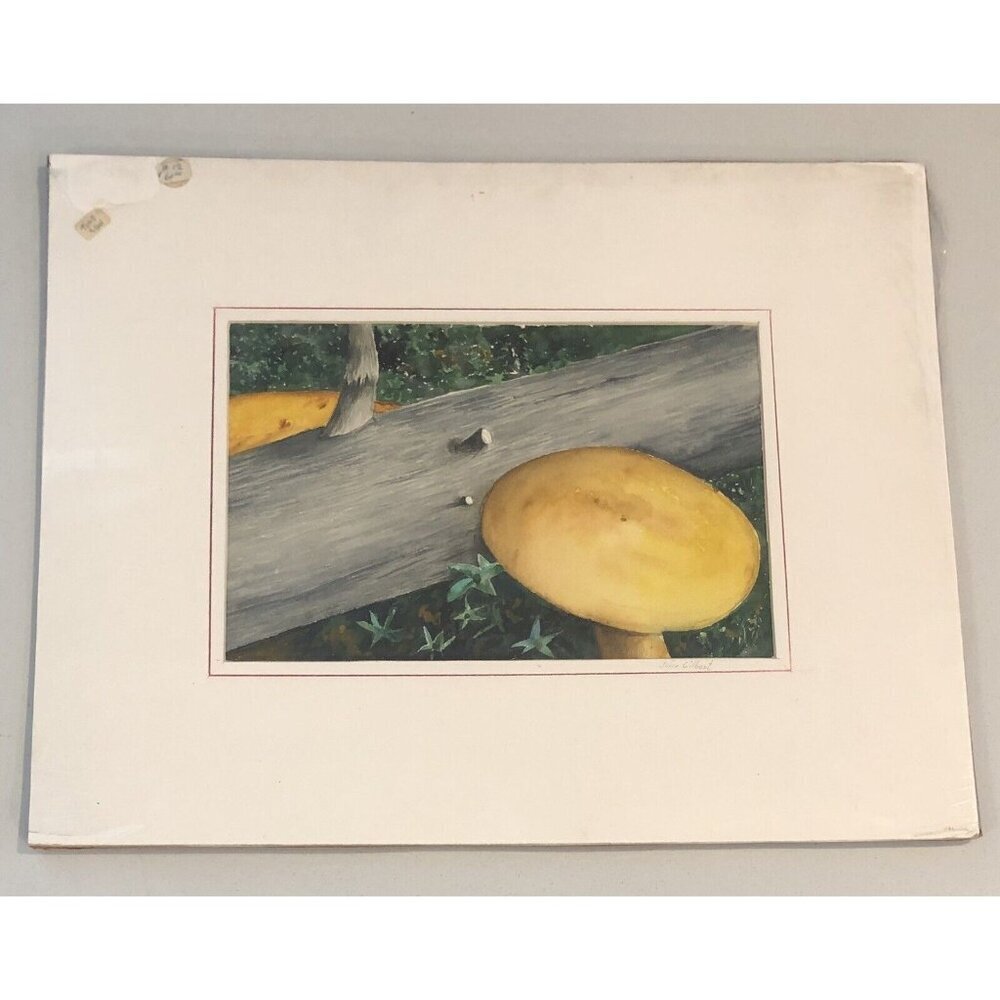 20"x16" Original Matted Watercolor PAINTING Toad Stool by JOYCE GILBERT c1980